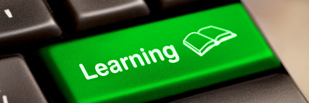 Distance Learning (DL)