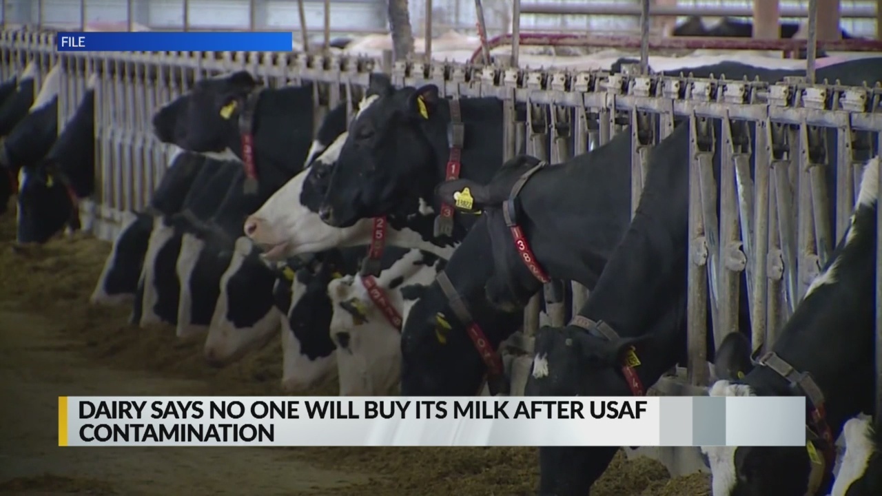 New Mexico dairy concerned about Air Force contamination RallyPoint