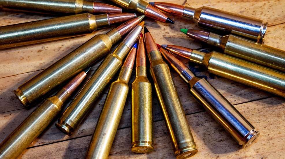 10 Most Versatile LongRange Hunting Cartridges Guns in the News RallyPoint
