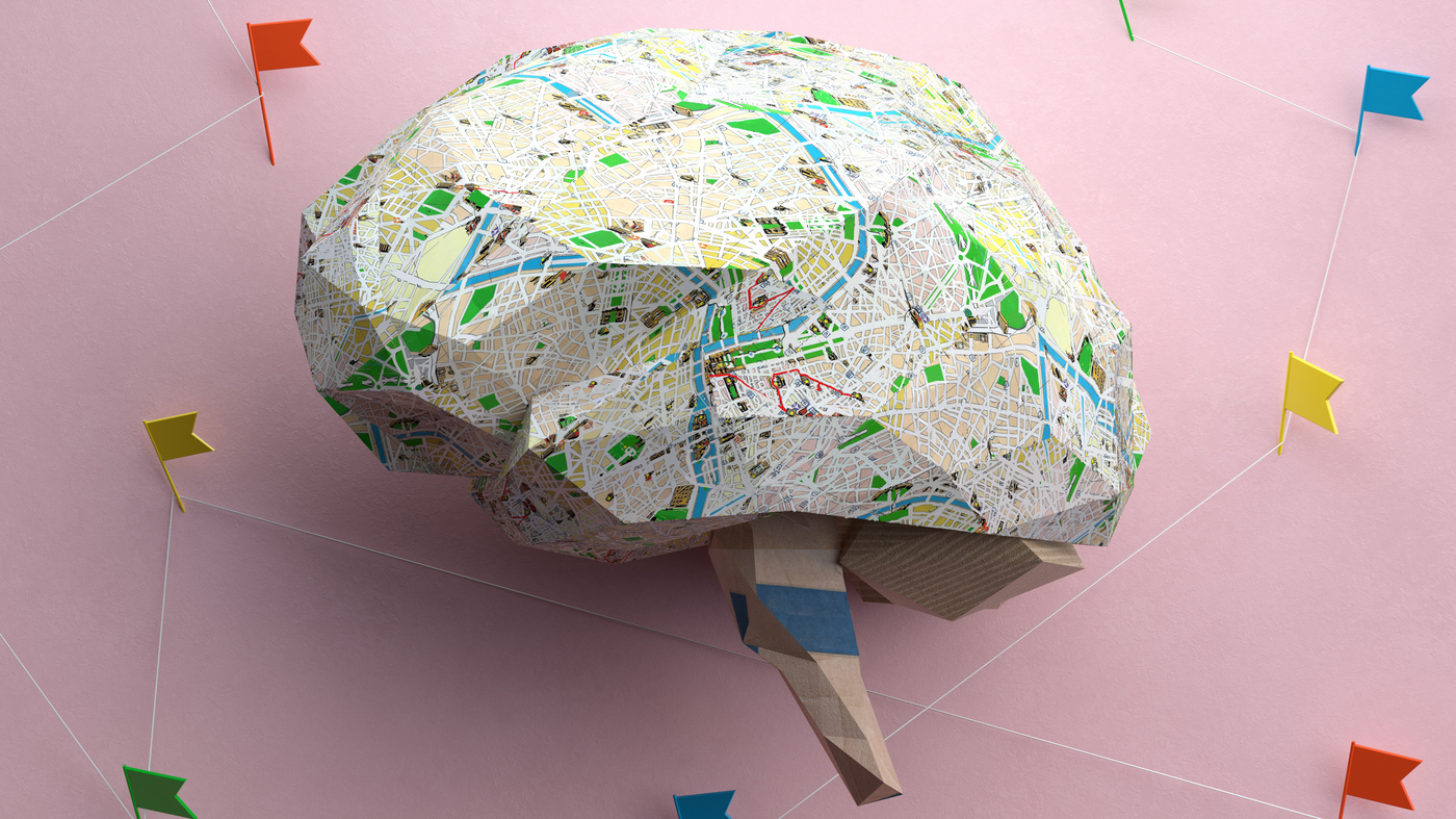 Scientists built the largest-ever map of the human brain. Here's what ...