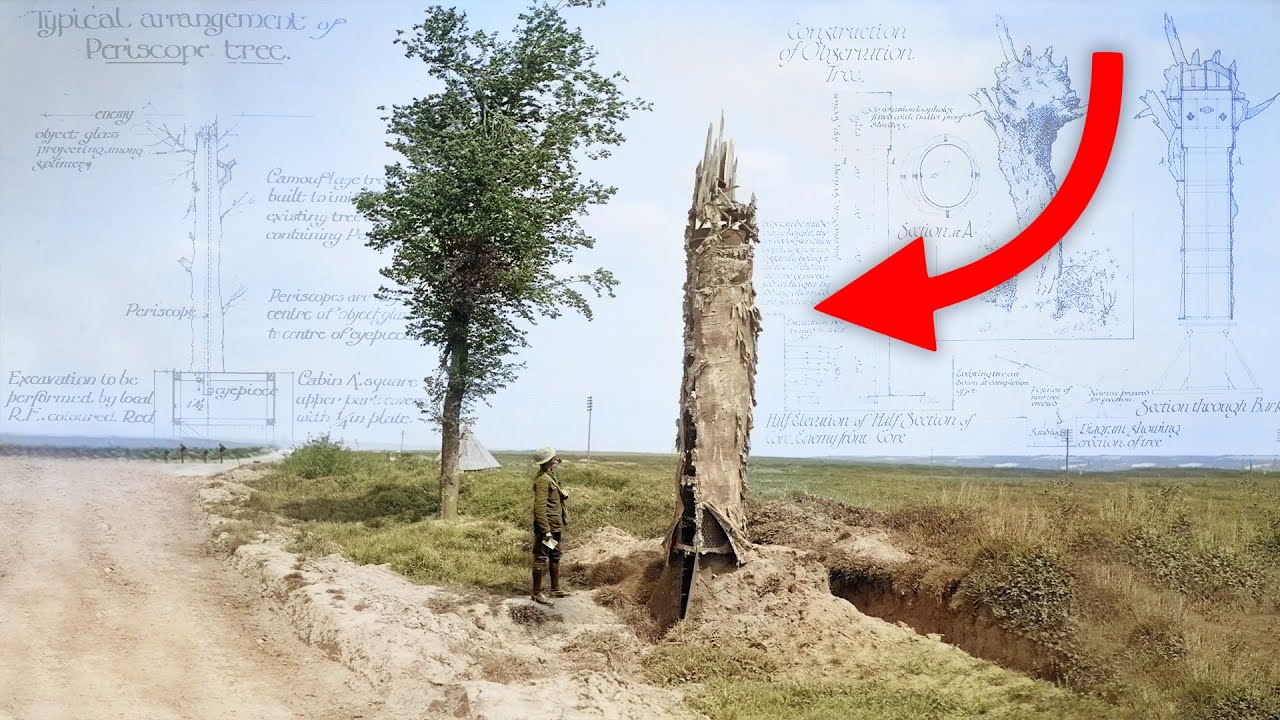 The fake trees of WW1 RallyPoint