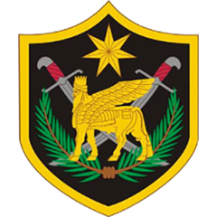 Multi National Force - Iraq