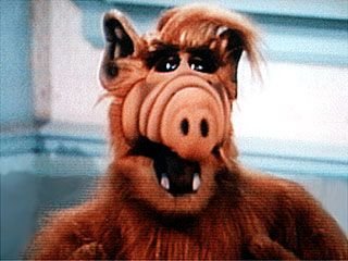 Alf