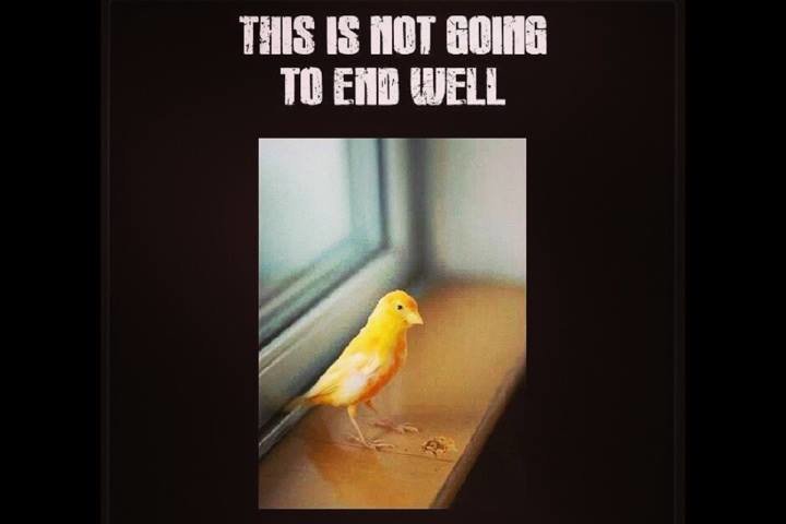 1528680 406163396180770 1772976059 n