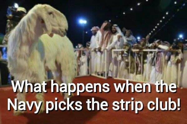 1381217 10151722355814150 1556408949 n