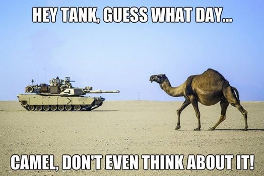 1958232 10152062111448558 1248652644 n