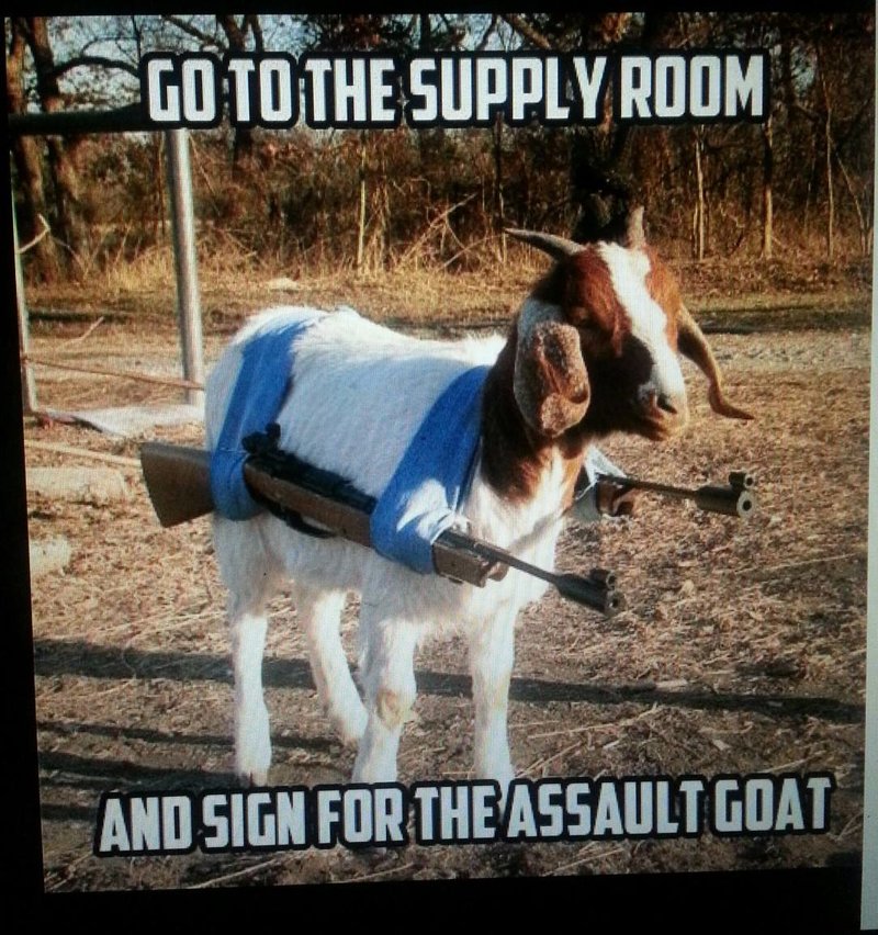 1269707 226925367464428 1842972489 o