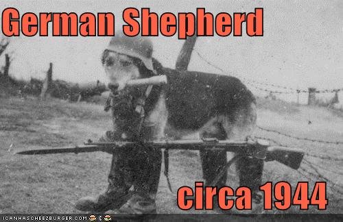 Ae2b86aa 9ffa 49fd be8d 410ddf964d83