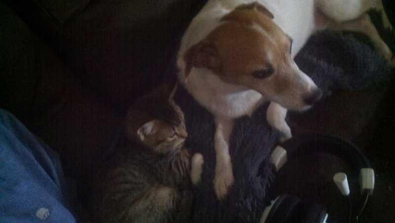 2012 07 08 10 18 52 518