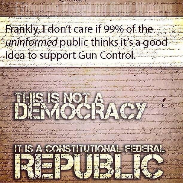 Constitutional republic