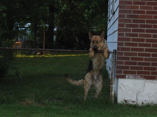 L 3877ee4bc7f44f9180660539b6d26e9b