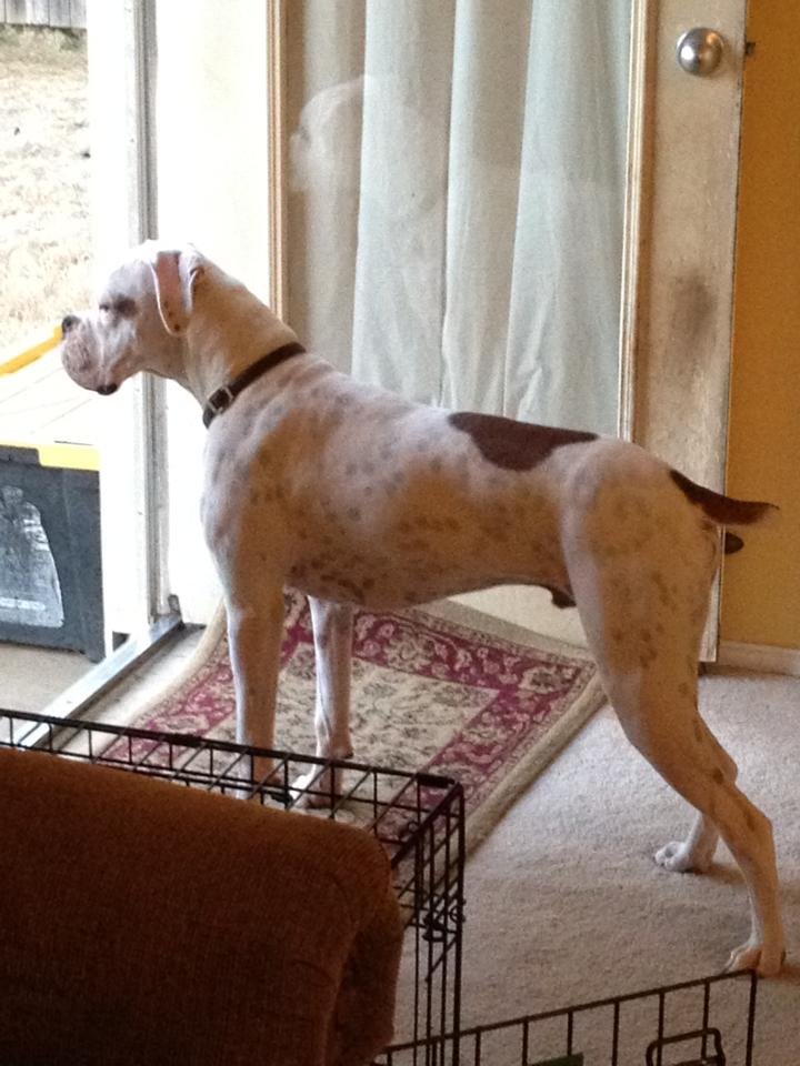 66015 10152168446284919 2079736670 n