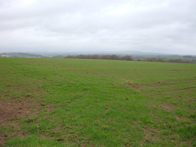Large open field near cathfrench manor   geograph.org.uk   342848