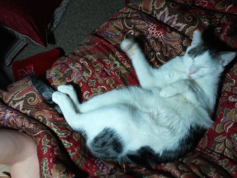 2011 01 28 21.04.20 %281%29