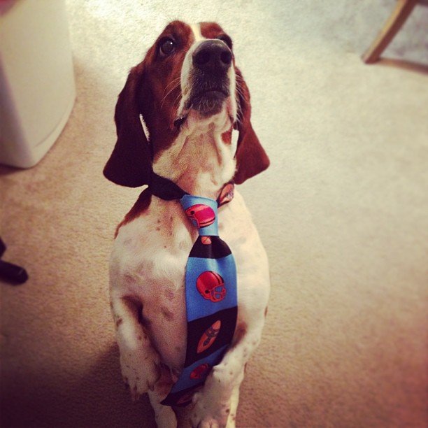 23910 10200282556697107 1264526095 n