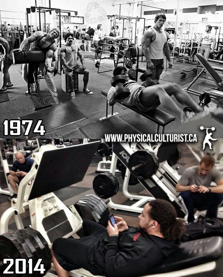 1a3a95b3ca5a429a74c3e60b53e90830