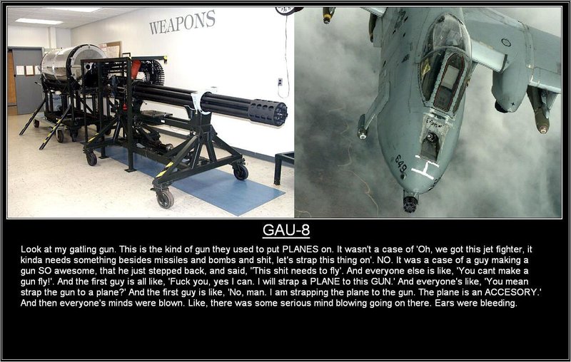 Gau 8
