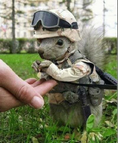 Secretsquirrel