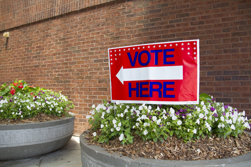 What do you think of noncitizens voting in american elections 