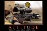 Attitude