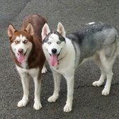 20140214 120943 resized