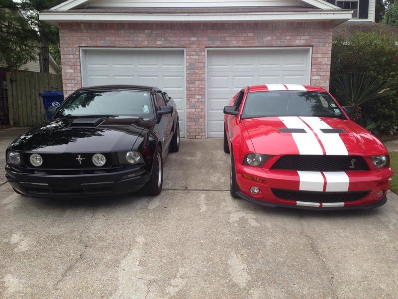 Shelby and blackhorse