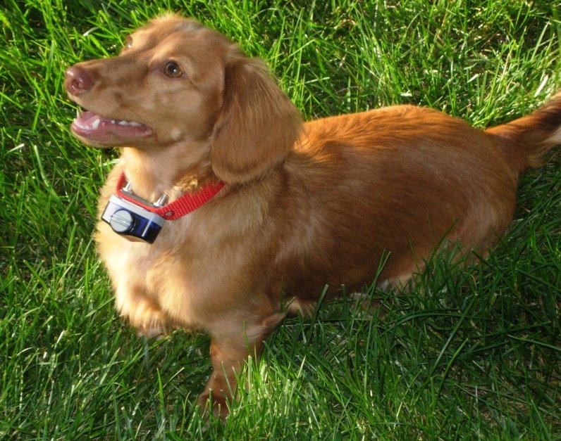 552843 414454095253857 491082220 n