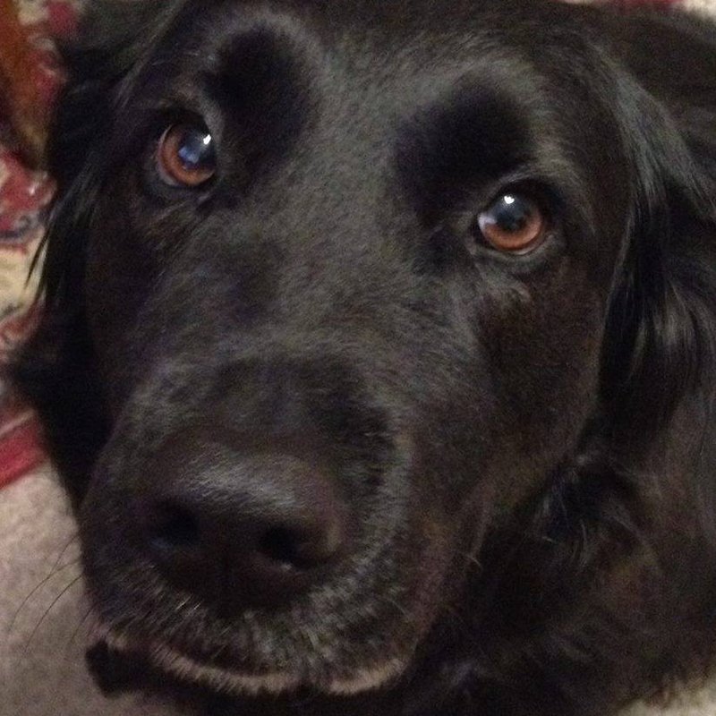 10906175 10205761042006953 2892843889227457185 n%281%29