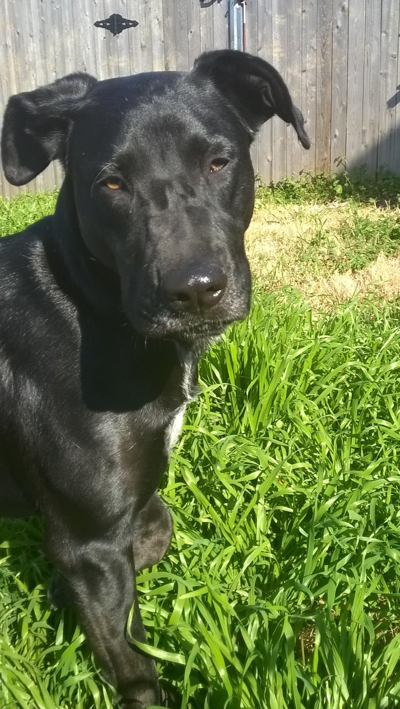 Wp 20150211 14 38 21 pro