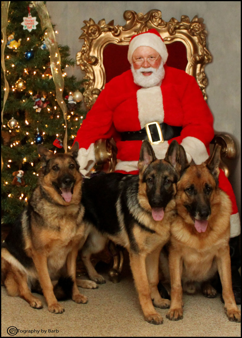 51 smith   zoe  zane  luke img 6264 1