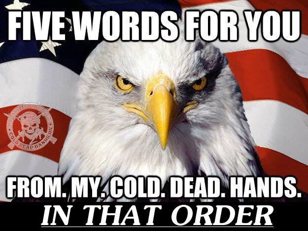 1450898 816146695100876 7582084649156678796 n