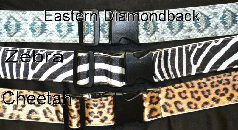 Diamondback zebra cheetah