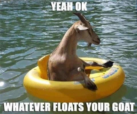 Floats your goat