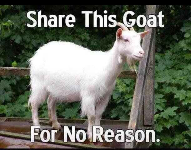 995983 10200773765725628 336317302 n