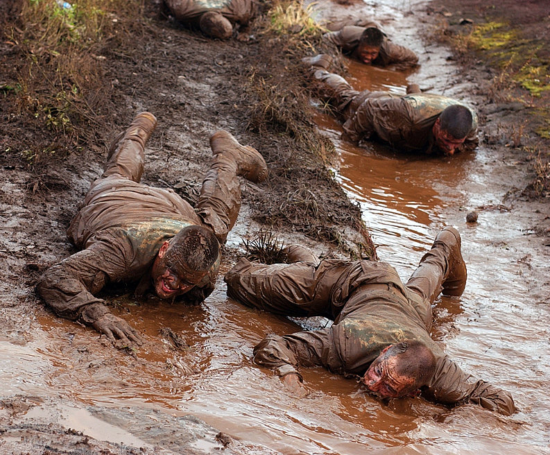 Mud crawl