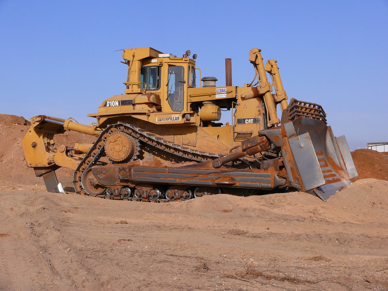 Cat d10n pic001