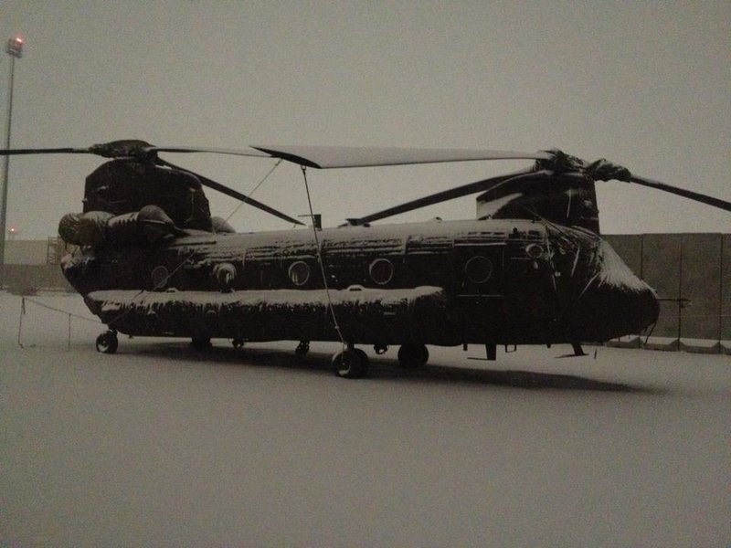 1486819 10152141627369919 1805272064 n