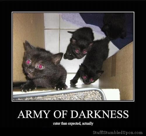 Army of darkness cuter than expected actually meme evil cat meme thumb