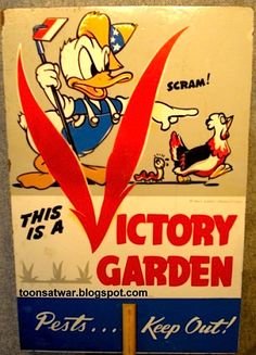 68db266f783e1ab28b316f55a916366c