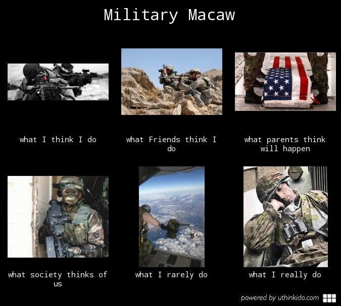 Military macaw aa26c7b82224dd36cb126206a8f474