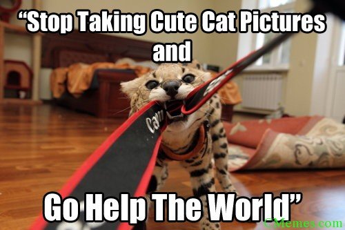 Activism community serivce meme global warming