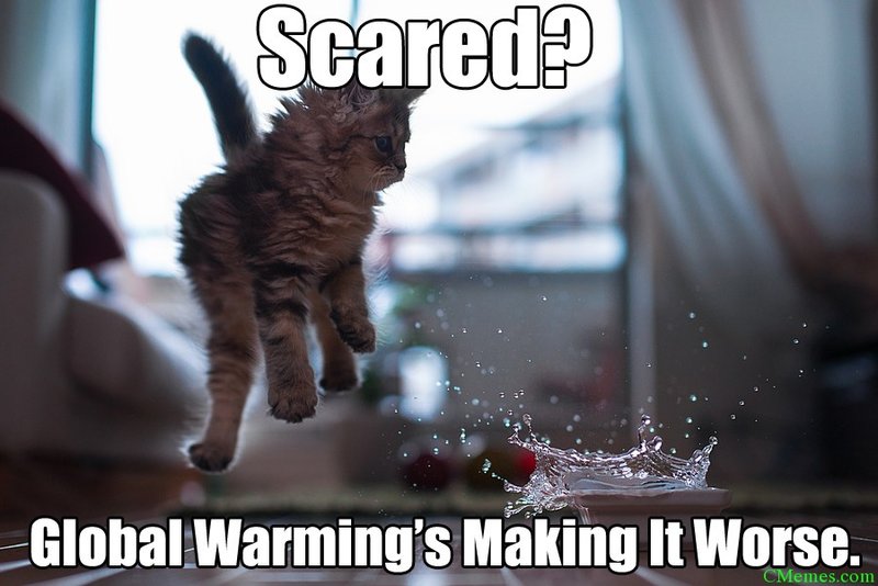 Climate change meme poster picture exists activism