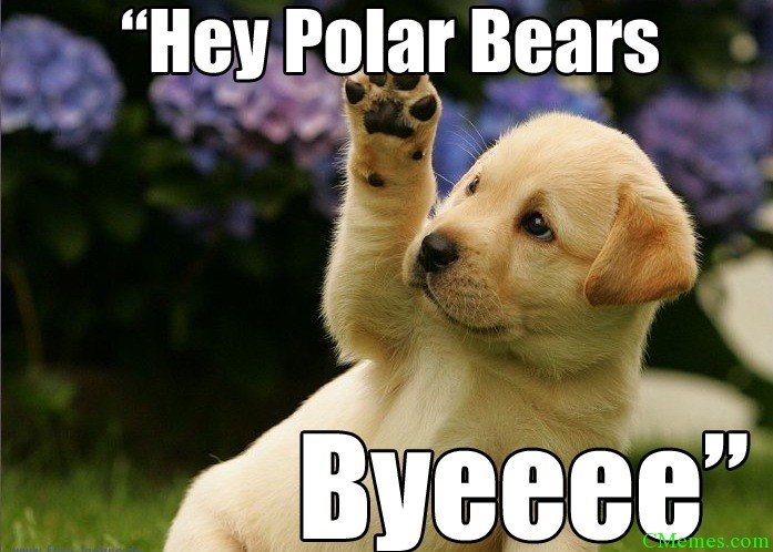 Global warming effects polar bears meme dying