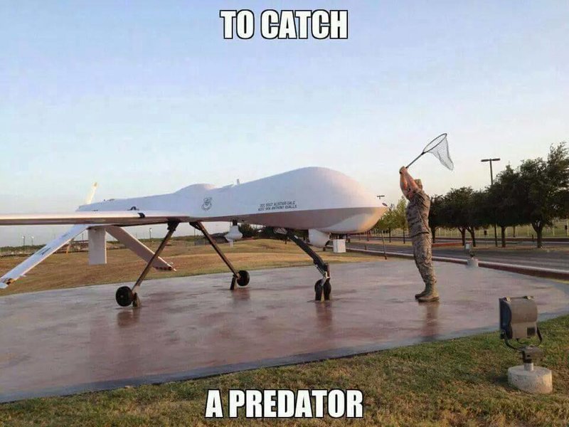 Tocatchapredator
