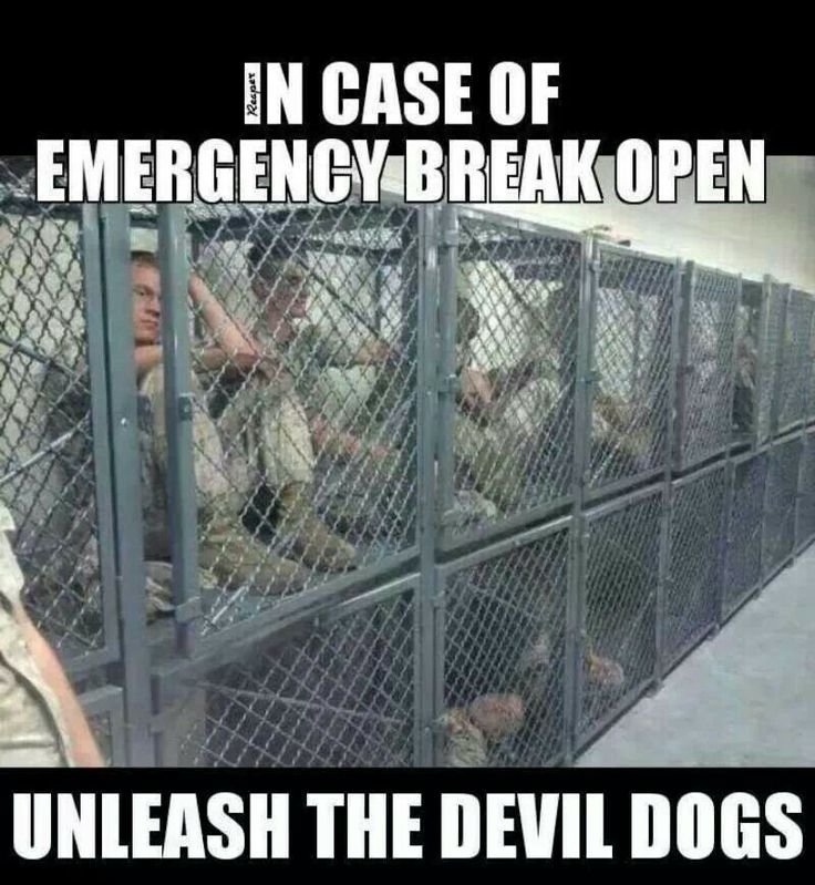 Best military meme 2