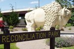 Buffalo reconciliation park mankato  large msg 11805559674