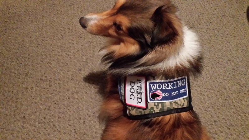 20150312 231326 %281%29