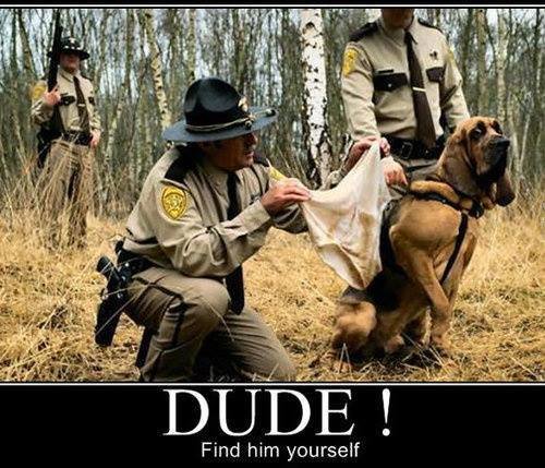 Dude!