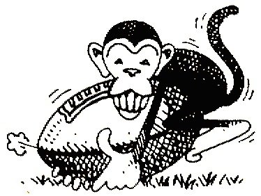 1982 a minor thesaurus of rural metaphor 06