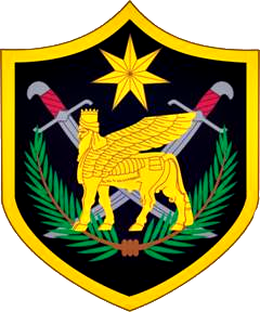 Multi national force iraq shouldersieeveinsignia
